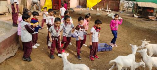IMG-20240106-WA0083