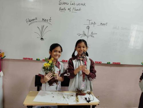 parts of plant, explaning_result